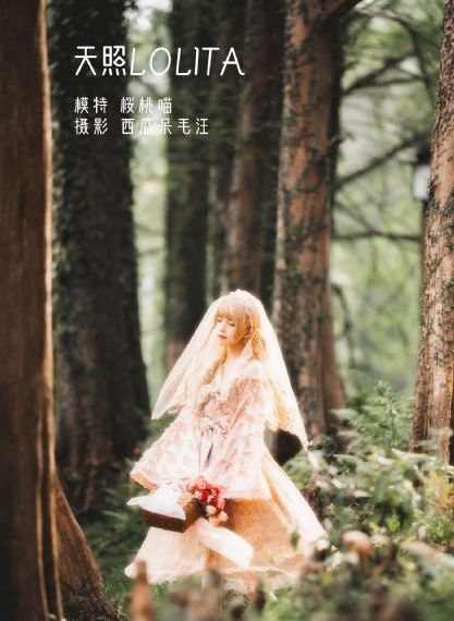 超级飞侠动画片免费观看_720高清在线观看